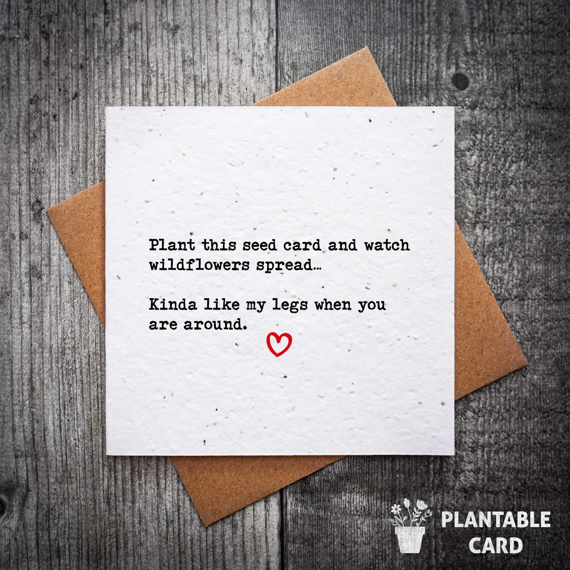 Rude Plantable Valentine’s Card – "Plant This Seed Card and Watch Wildflowers Spread…"