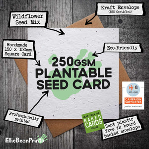 Rude Plantable Valentine’s Card – "Plant This Seed Card and Watch Wildflowers Spread…"